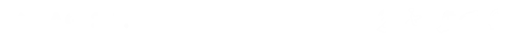 WCAG 2.1 w
